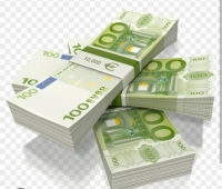 Rýchla finančná podpora